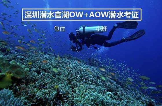 银河中动物逃生